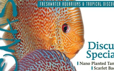 Discus Cover Correction