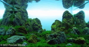 “On the Edge of the World” Aquatic Garden, 60–120-L category Prociuk Mikola Kalush Iwano-Frankiwsk, Ukraine