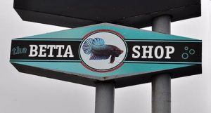 The Betta Shop in St. Paul, MN