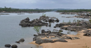 The Lower Rio Xingu, imminently threatened by the Belo Monte Dam project, is the subject of a grassroots crowdfunding effort to support biodiversity research before it's too late.