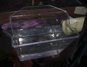 RO/DI water ready to go ina clean specimen cup.