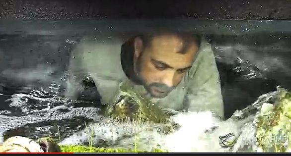 Astonishing River Biotope Tank