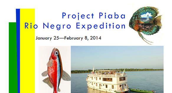 Last Minute Holiday Gift? An Expedition to South America with Project Piaba!