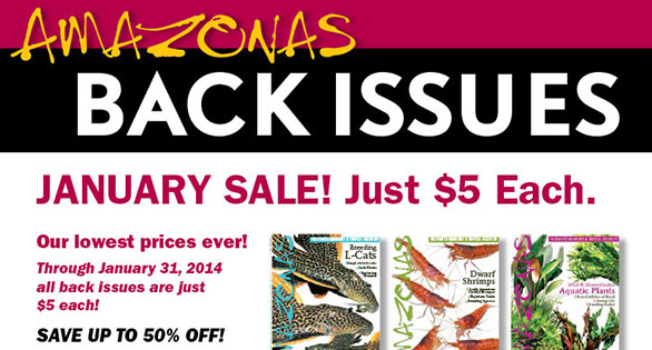 AMAZONAS January Back Issues Sale!