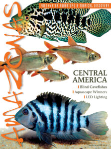 Click cover to order this back issue for your AMAZONAS collection.