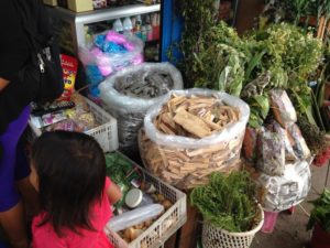 In order to meet their daily requirement of calcium eat coca leaves