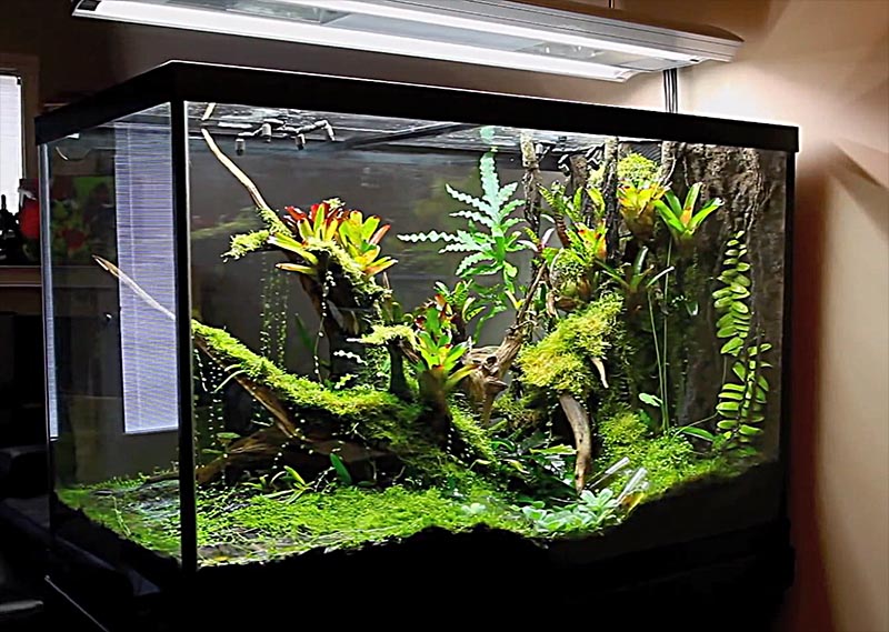 An amazing scape by Justin Grimm....