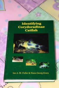 Identifying Coridoradinae catfish