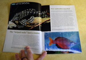 Aquatic Notebook for the May/June 2014 Issue of AMAZONAS Magazine