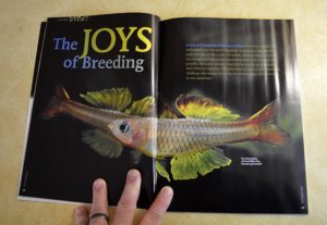 Our cover feature for May/June 2014 - The JOYS of Breeding! - by Hans-Georg Evers