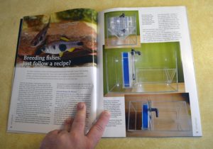 Breeding Fishes: Just Follow The Recipe? by Stefan Inselmann