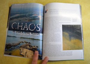 CHAOS in black and white - by Haakon Haagensen (a tour of black and white Hypancistrius sp.)