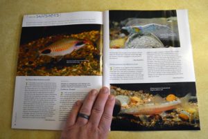 Species Snapshots for May/June 2014