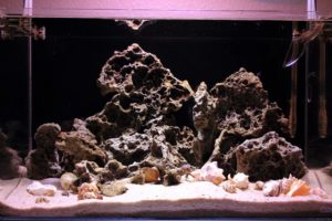 Sumbu Shell Full tank shot