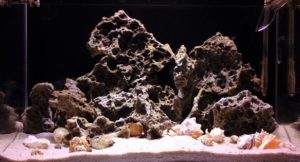 Sumbu shell featured image