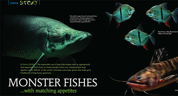 GIANT FISHES – AMAZONAS Hard-Copy Preview for July/August 2014