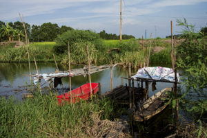 Our collecting site: drainage canal off the Bang Makong River