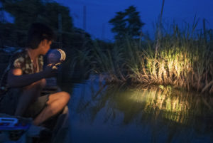 Aquarium fisherman scans the riverbank for needlefish