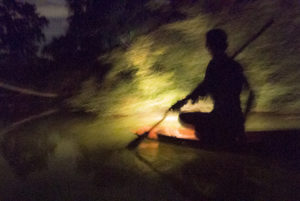Night collecting with aquarium fisherman in rural Thailand
