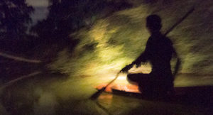 Night collecting with aquarium fisherman in rural Thailand