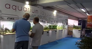 A screengrab from video documenting the 2013 Aquarium Layout Contest at Napoli Aquatic in Italy.
