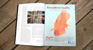 Editorial from Hans-Georg Evers