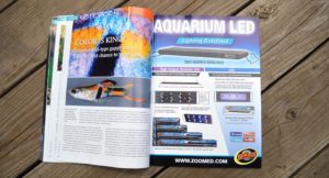 Aquatic Notebook - Color Is King!