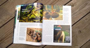 Aquatic Notebook - Natural Decorations
