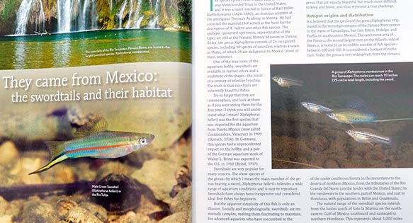 Hard Copy Preview – Swordtails – September/October 2014 – AMAZONAS Magazine