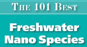 The 101 Best Freshwater Nano Species for the home aquarium.