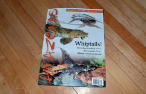 The cover of our latest AMAZONAS Magazine, January / February 2015. Arriving now!