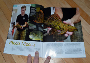 Aquatic Notebook leads off with "Pleco Mecca" by Rachel O'Leary
