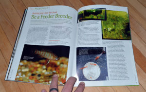 "Be a Feeder Breeder; Raising your own live foods" by Rachel O'Leary , looks at raising popular invertebrates as feeds.