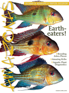 Click here to buy the March/April 2015 issue of AMAZONAS Magazine!