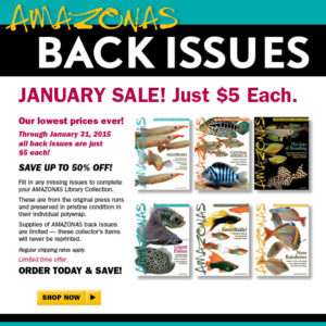 AMAZONAS Magazine Back Issue Sale 2015 - Just $5 each through January 31st, 2015. SHOP NOW!