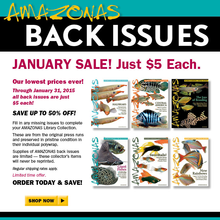 AMAZONAS Magazine Back Issue Sale 2015 - Just $5 each through January 31st, 2015. SHOP NOW!