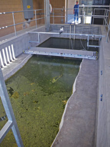 The Devils Hole pupfish propagation facility, published April 2014 - USFWS | CC-BY-2.0