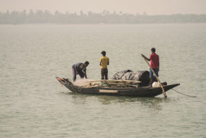 Fishermen using gill nets and traps on the outer edges of the Sundarbans