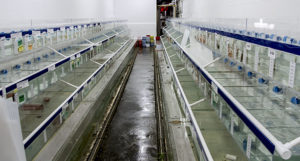 The new softwater system at Segrest Farms in Florida: hundreds of tanks and over 14,000 gallons
