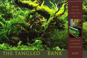 "The Tangled Bank"; a rough cut of the opening spread - by Steve Waldron
