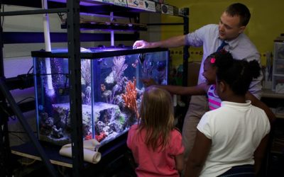 Tanks in Classrooms: Setting Up an Educational Aquarium