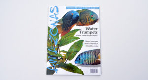 The cover for the May/June 2015 issue of AMAZONAS Magazine, featuring Water Trumpets (A Guide to the Cryptocorynes), Super Severums, New Rainbowfish and Zebra Otocoinclus