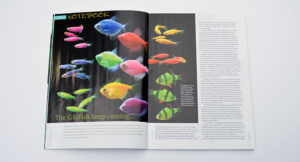 Our aquatic notebook kicks off revisiting GloFish which sparked great debates when we noted the news release of a new variety last month on our Facebook page.