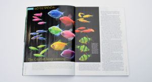 Our aquatic notebook kicks off revisiting GloFish which sparked great debates when we noted the news release of a new variety last month on our Facebook page.