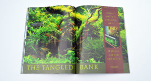 We teased Steve Waldron's heavily-planted vertical garden aquarium in a rough cut preview of "The Tangled Bank"; the greatly anticipated article is complete and ready to be explored!
