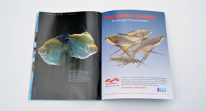As with every issue, Morrell "Mo" Devlin presents a pictorial wrap up in our Underwater Eye. What are these Pacus? You'll have to read to find out.