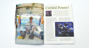 Rahcel O'Leary talks her way into the California dreate fishhouse of passionate African Cichlid experts Pam and Gary Chin, in her article "Cichlid Power".