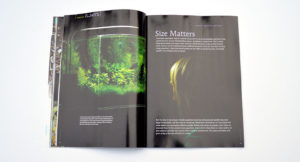 "Size Matters" says George Farmer, who show us that small can be beautiful via his desktop planted aquarium.