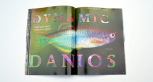 Paul V. Loiselle, Ph.D., showcases Dynamic Danios; Old friends—and a wave of new species!