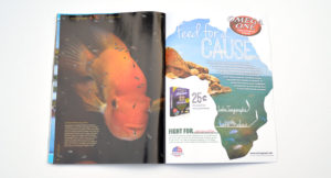 As with every issue, Morrell "Mo" Devlin presents a pictorial wrap up in our Underwater Eye. Learn more about the Midas Cichlid in this installment.